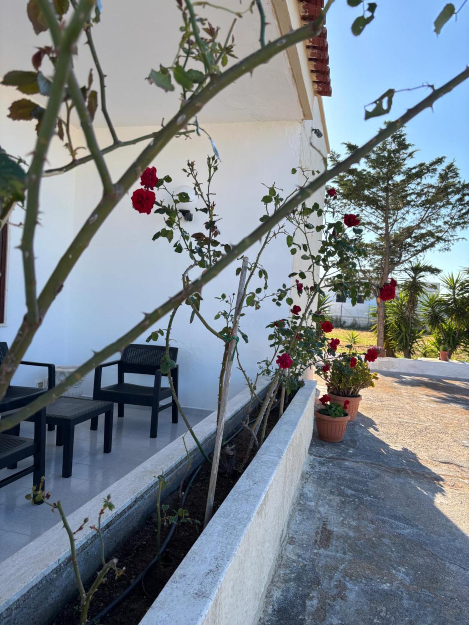 Вилла Lilly'S House Торре-Санта-Сабина Экстерьер фото